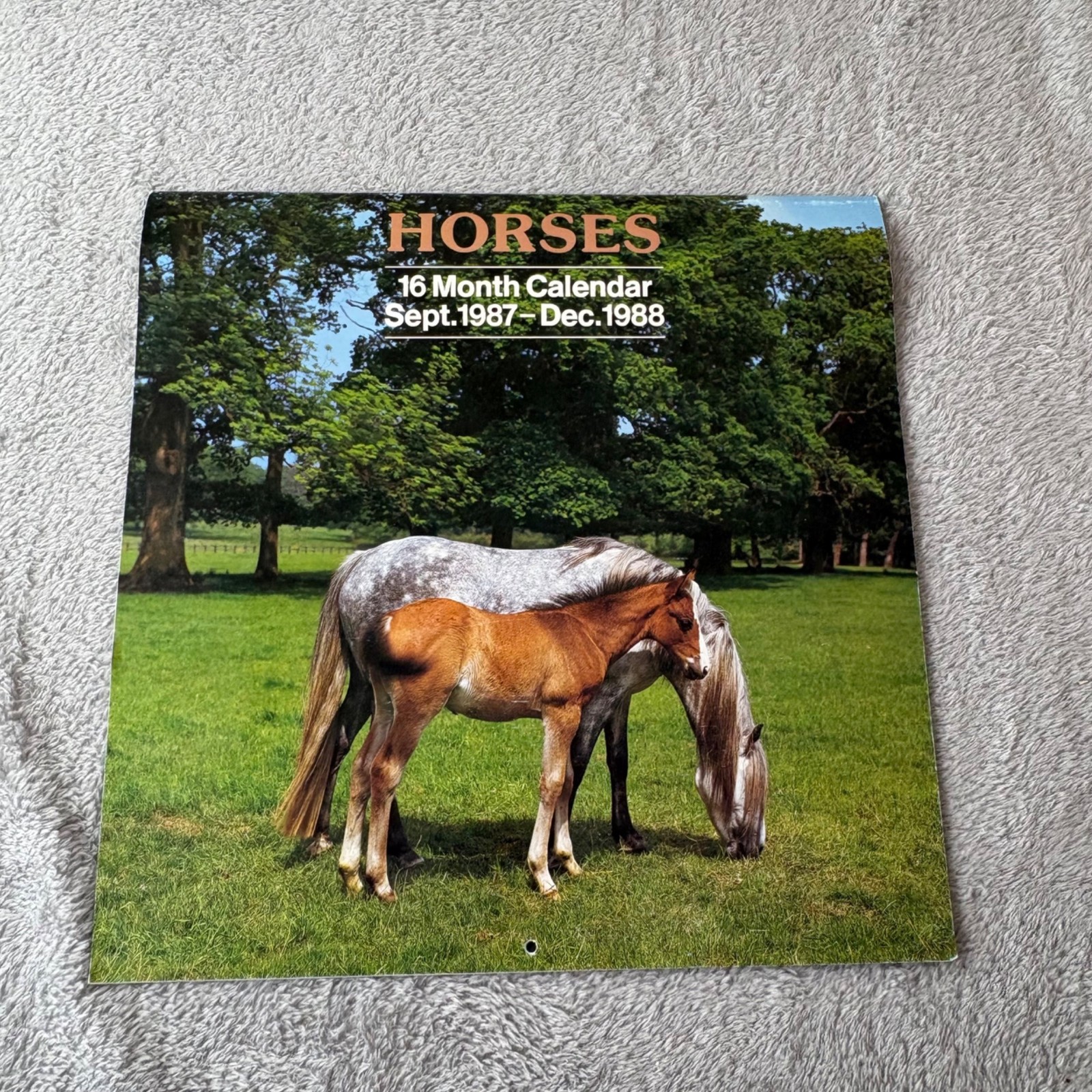 Vintage Horse Calendar Sept 1987 December 1988 Sofaco AG Publisher Welsh Cob 
