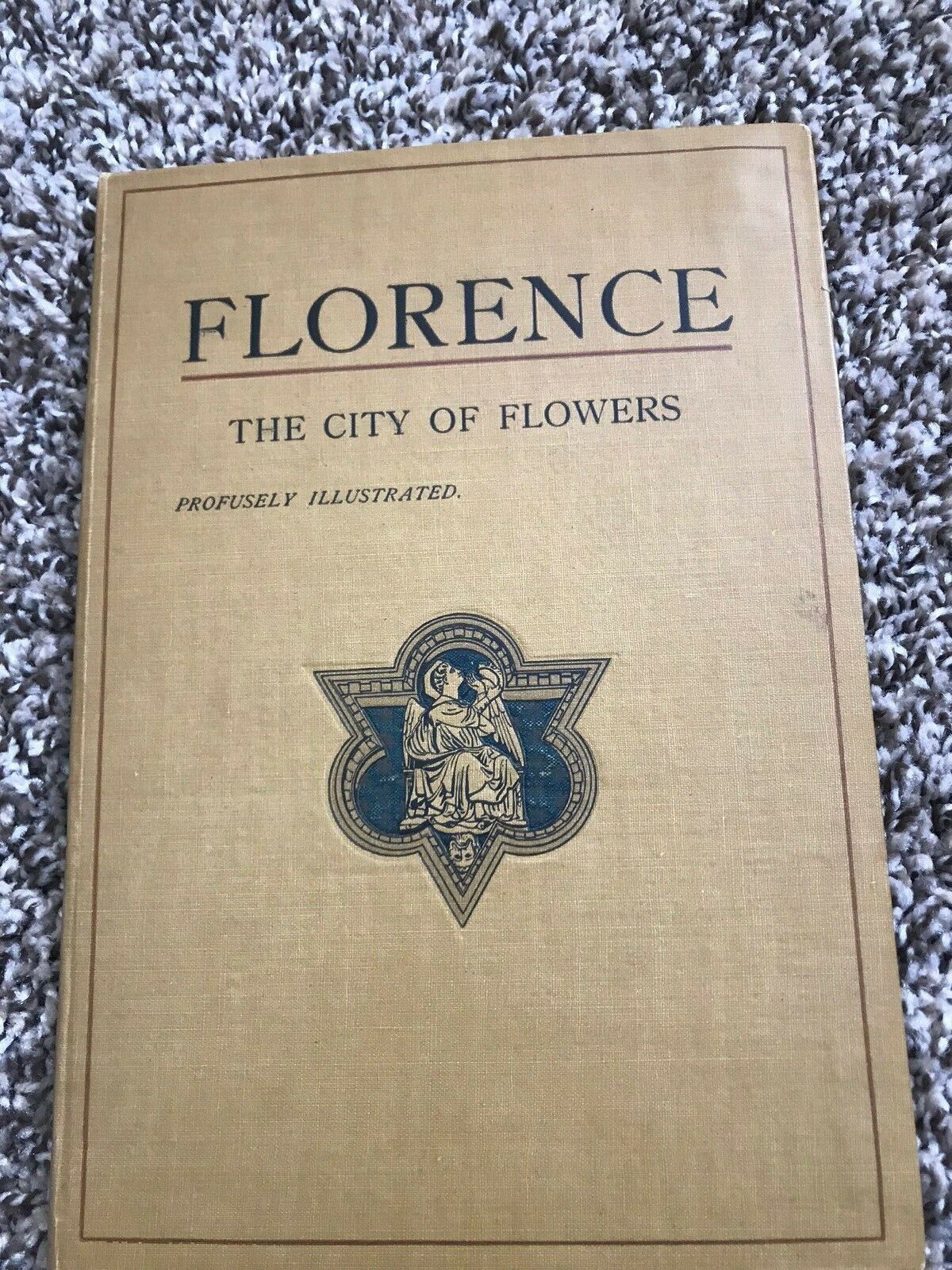 FLORENCE THE CITY OF FLOWERS 1924 The Medici Series No. 3 ok book 