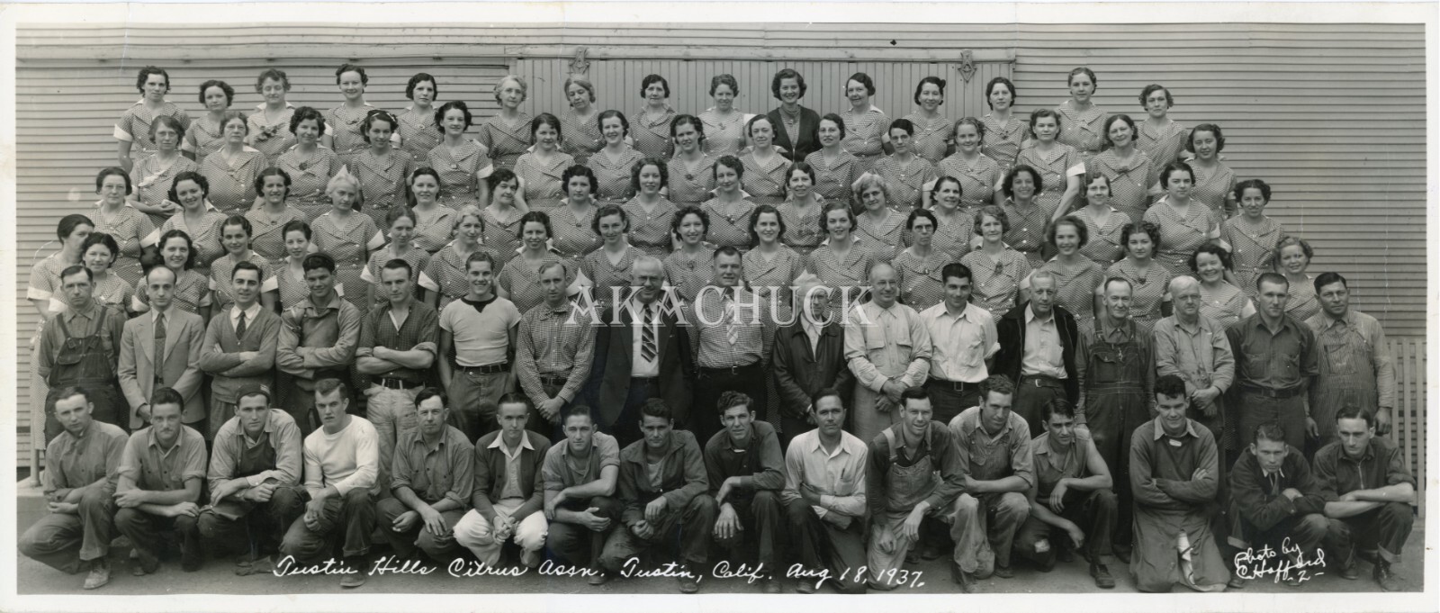 Orig 1930s Panoramic Photo TUSTIN HILLS CA CITRUS ASSN Orange Packing House 1937