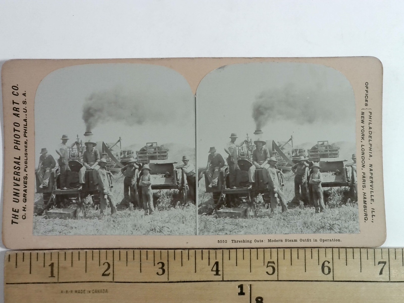 Threshing Oats Stereoview Universal Photo Art Co. Steam Outfit 1900s Farming