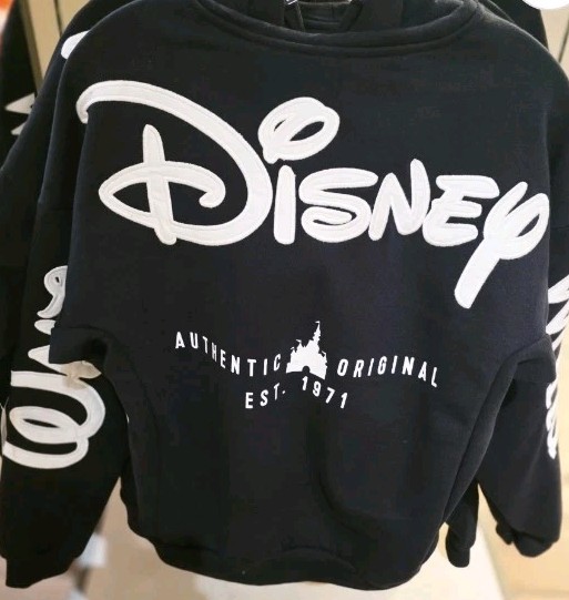 NWT 2026 Disney Parks Walt Disney World Black Zip-Up Hoodie | Adult