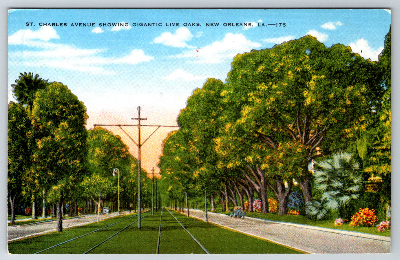 c1940s St. Charles Avenue Gigantic Live Oaks New Orleans LA Postcard Linen