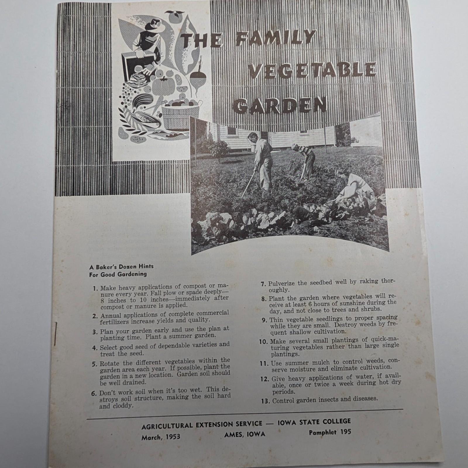 1953 Ames IA Iowa State College The Family Vegetable Garden Pamphlet Vtg Ag Book