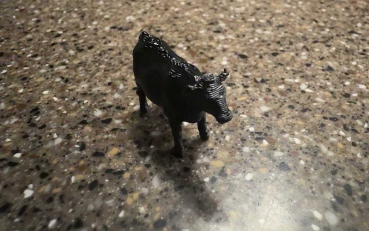 1/64th Calves, 20hd Black Angus
