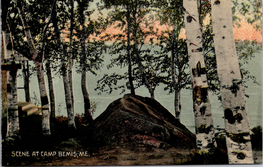 Vintage Postcard Scene At Camp Bemis Maine Birch Trees And Rock