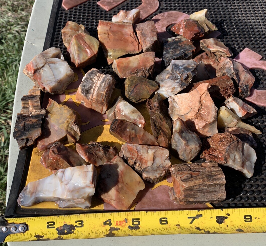 ☘️RR⛏️: Top Quality Arizona Rainbow Petrified Wood, Over 4 Lb 🌈 ☘️RR⛏️: Top Quality Arizona Rainbow Petrified Wood, Over 4 Lb 🌈