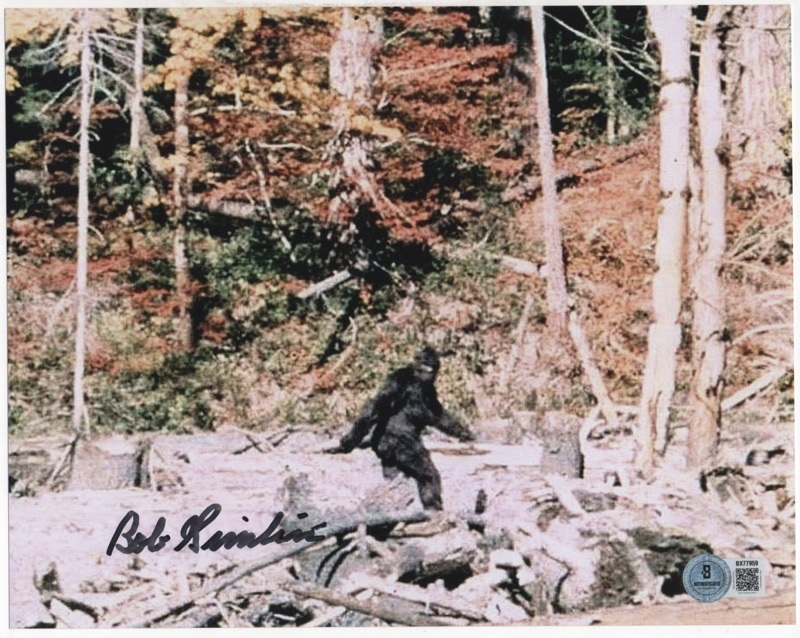 Bob Gimlin autographed signed 8x10 photo Beckett BAS COA Bigfoot Gimlin Video