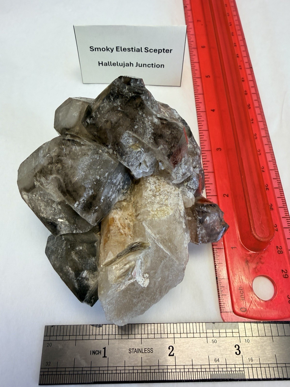 Smoky Elestial Scepter Crystal Cluster Specimen - Hallelujah Junction Smoky Elestial Scepter Crystal Cluster Specimen - Hallelujah Junction