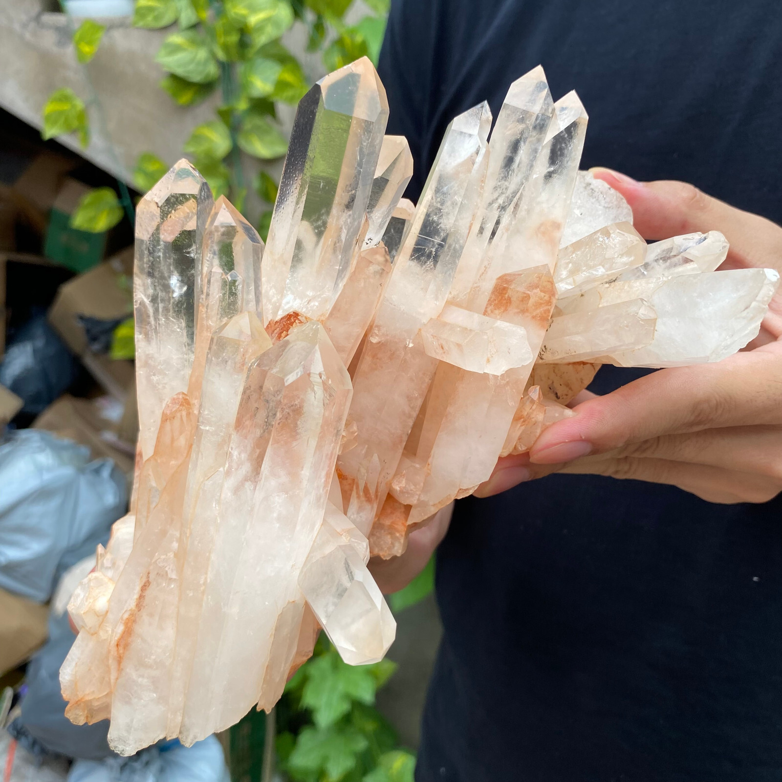 3.4lb A+++Large Natural clear white Crystal Himalayan quartz cluster /mineralsls