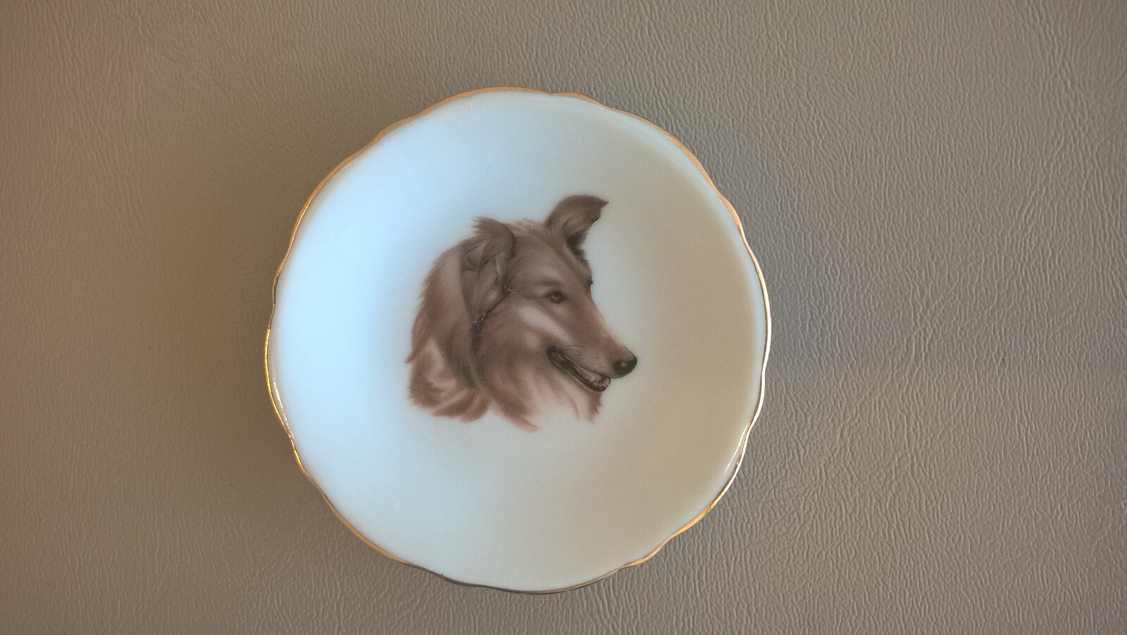 Collie Dog Miniature 2.5\