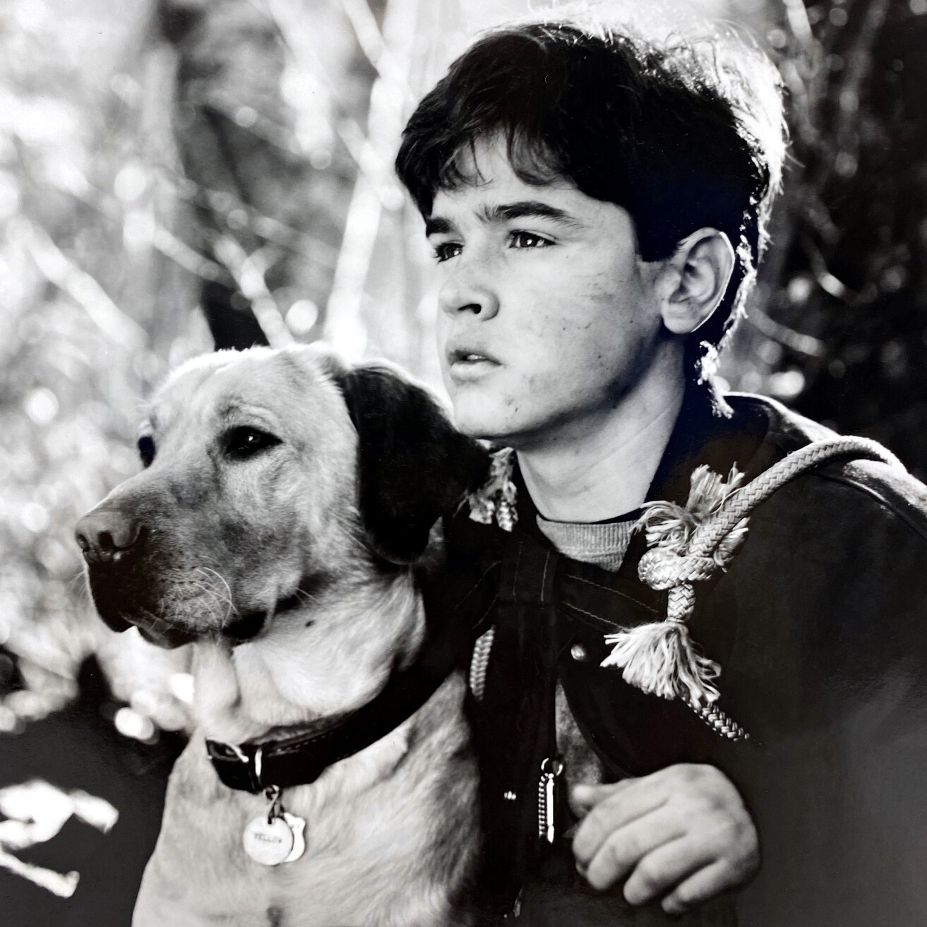 1995 Jesse Bradford Mimi Rogers Far From Home Adventures Yellow Dog Press Photo 1995 Jesse Bradford Mimi Rogers Far From Home Adventures Yellow Dog Press Photo