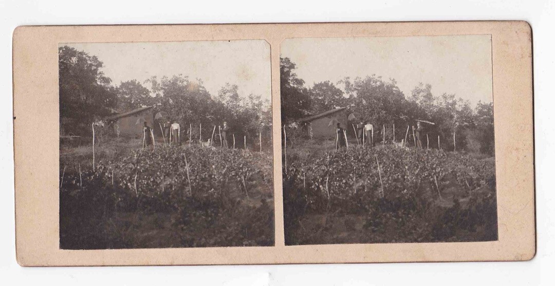 Harthaven Martha\'s Vineyard Stereoview Mihai Duncia 1906 Garden House