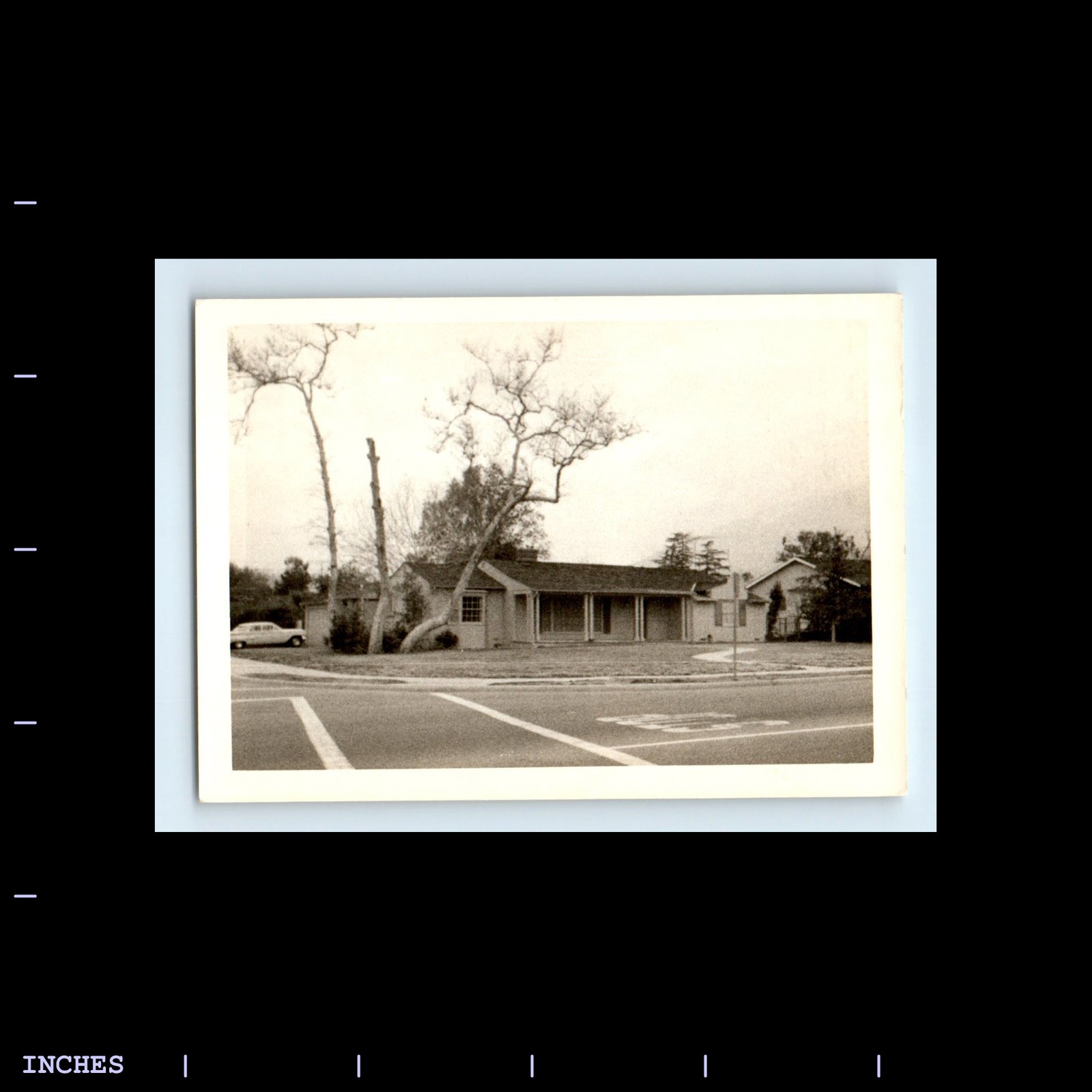 Old Vintage Photo STREET SCENE HOUSE CLASSIC CAR TREES