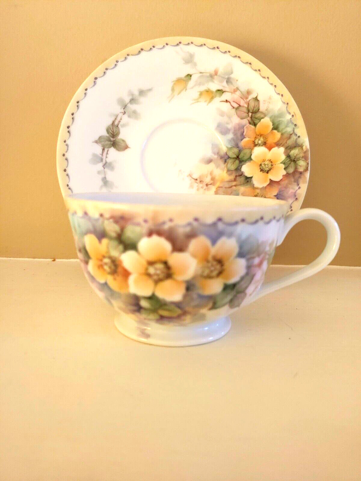 Handpainted  porcelain Cup & Saucer