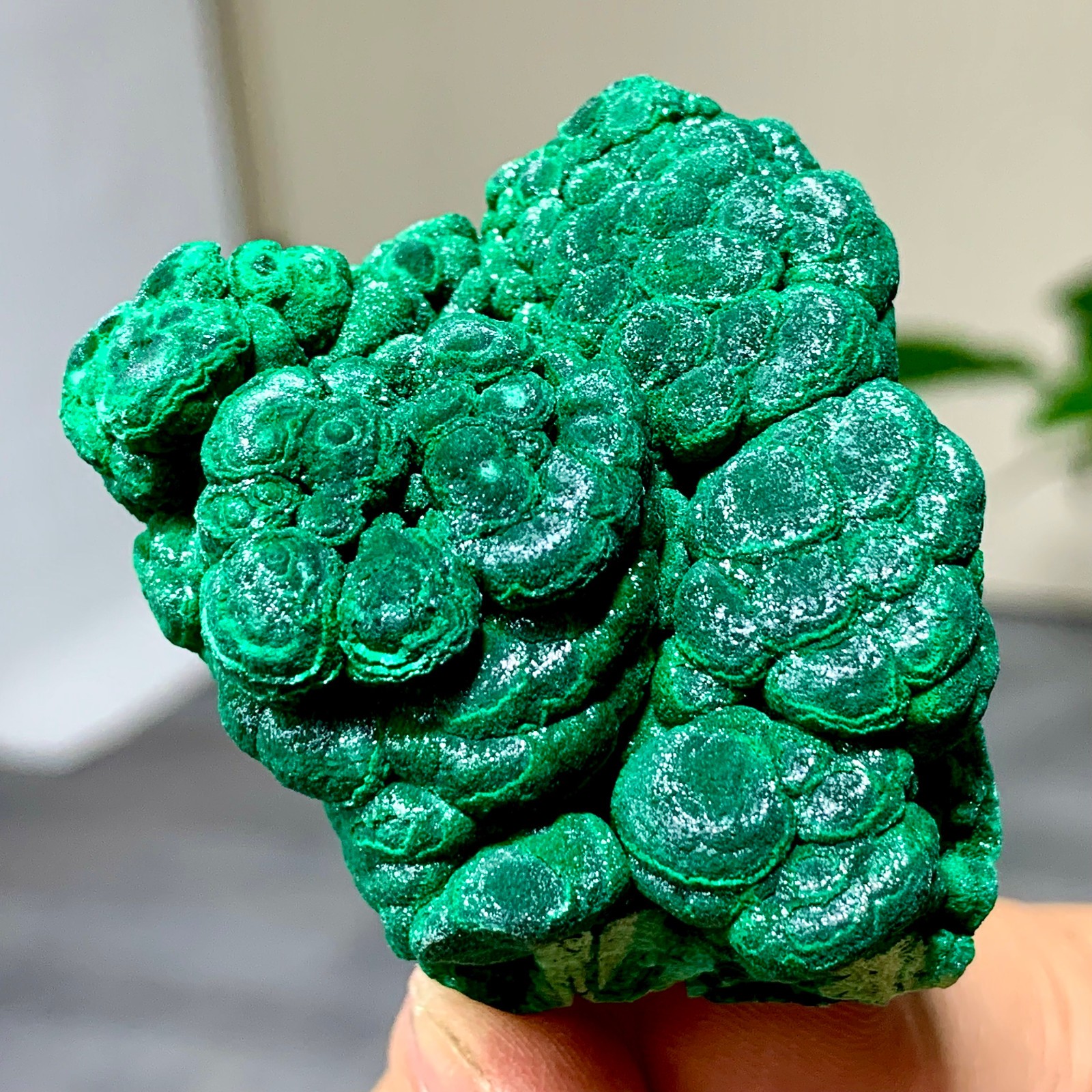 92g Natural glossy malachite cat eye transparent cluster rough mineral Sample