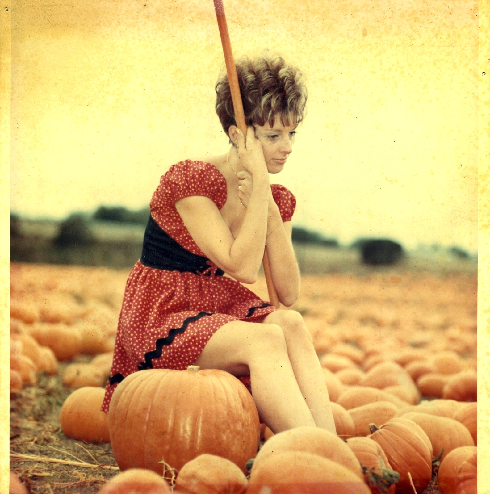 Vintage Pretty Young Woman Sitting on a Pumpkin-Half Moon Bay 1972 Snapshot