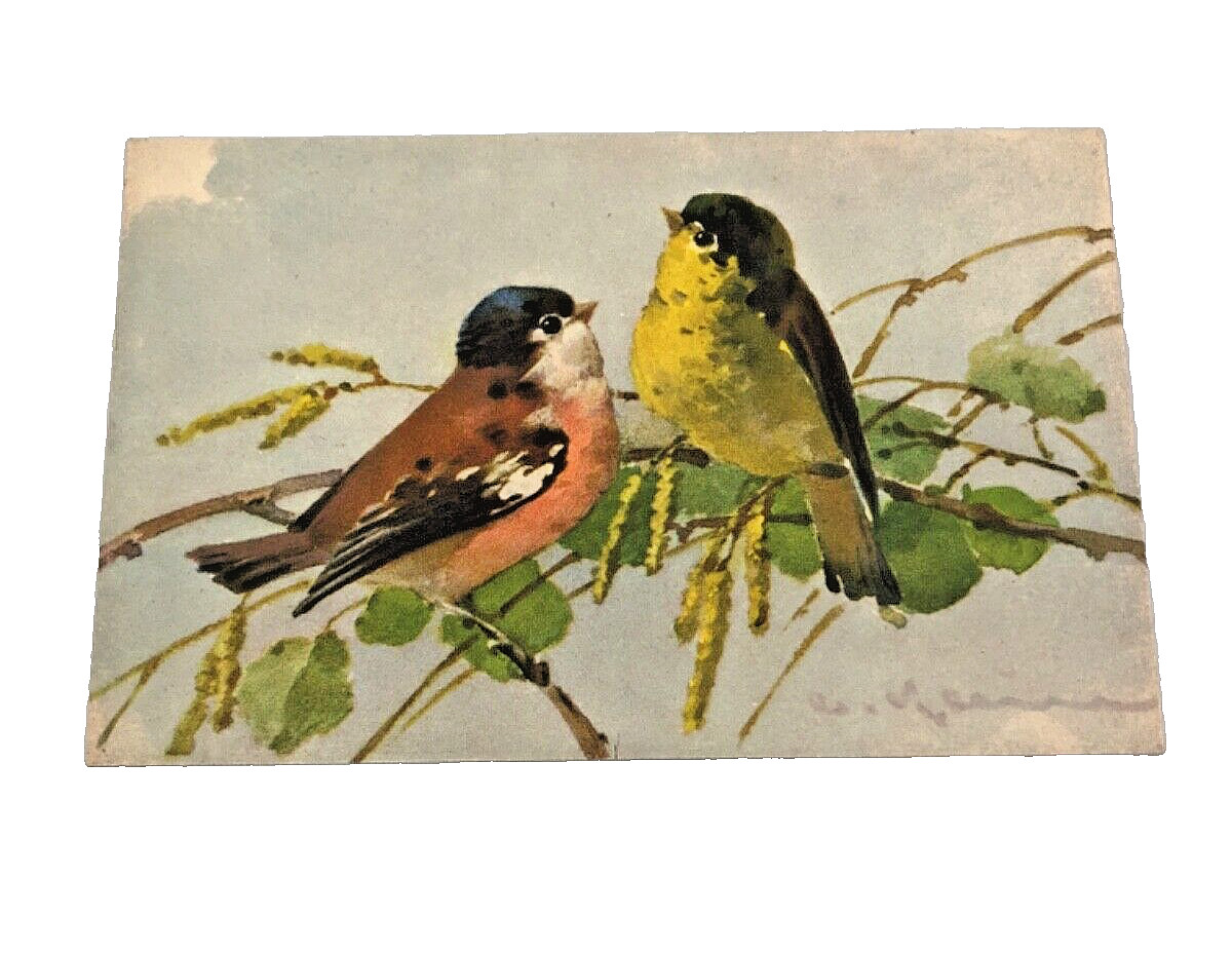 Vintage Postcard Song Birds Painting Artist C Klein Unposted #123 Ephemera