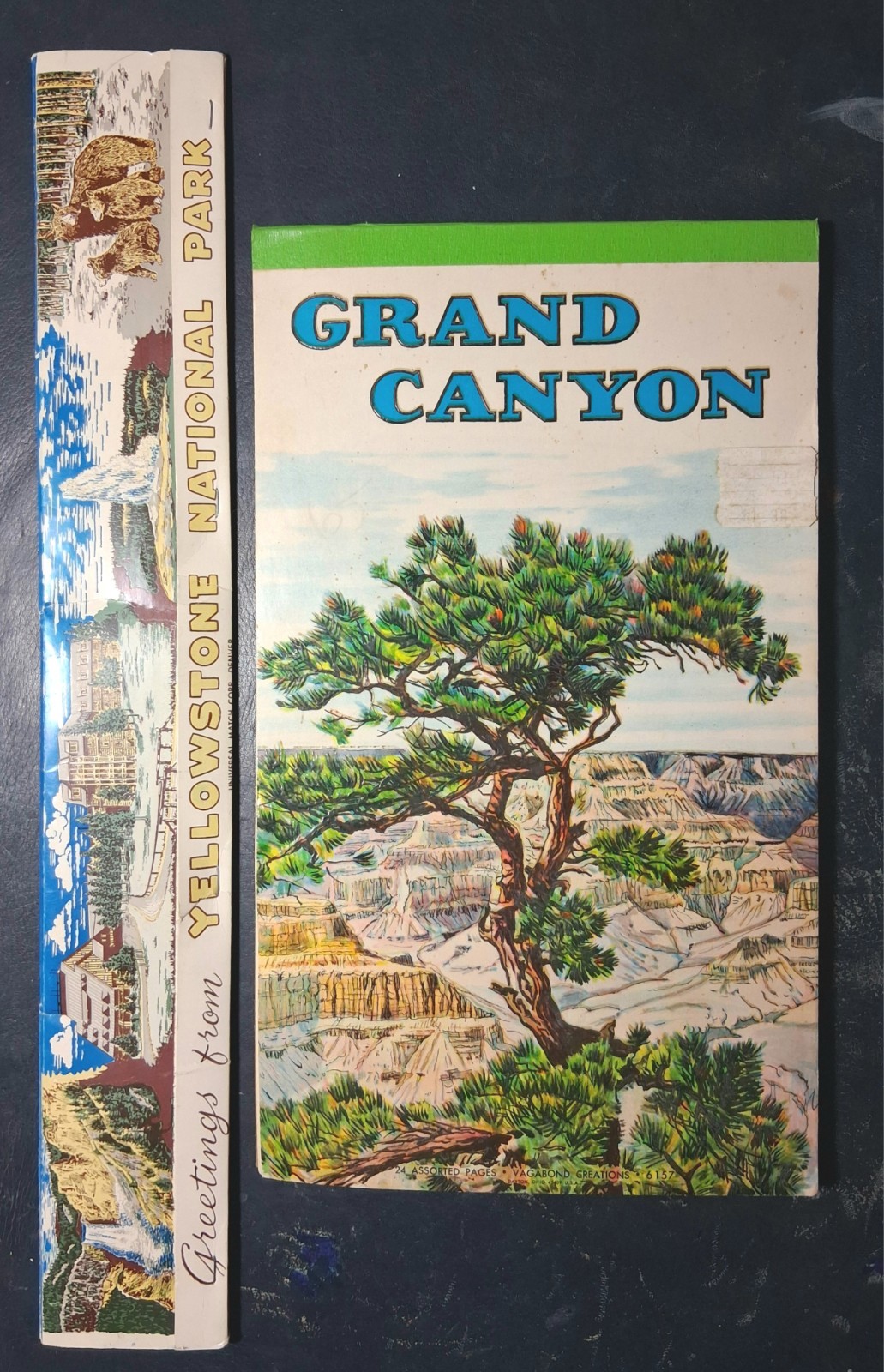 Lot 2 VTG National Parks Souvenirs 12