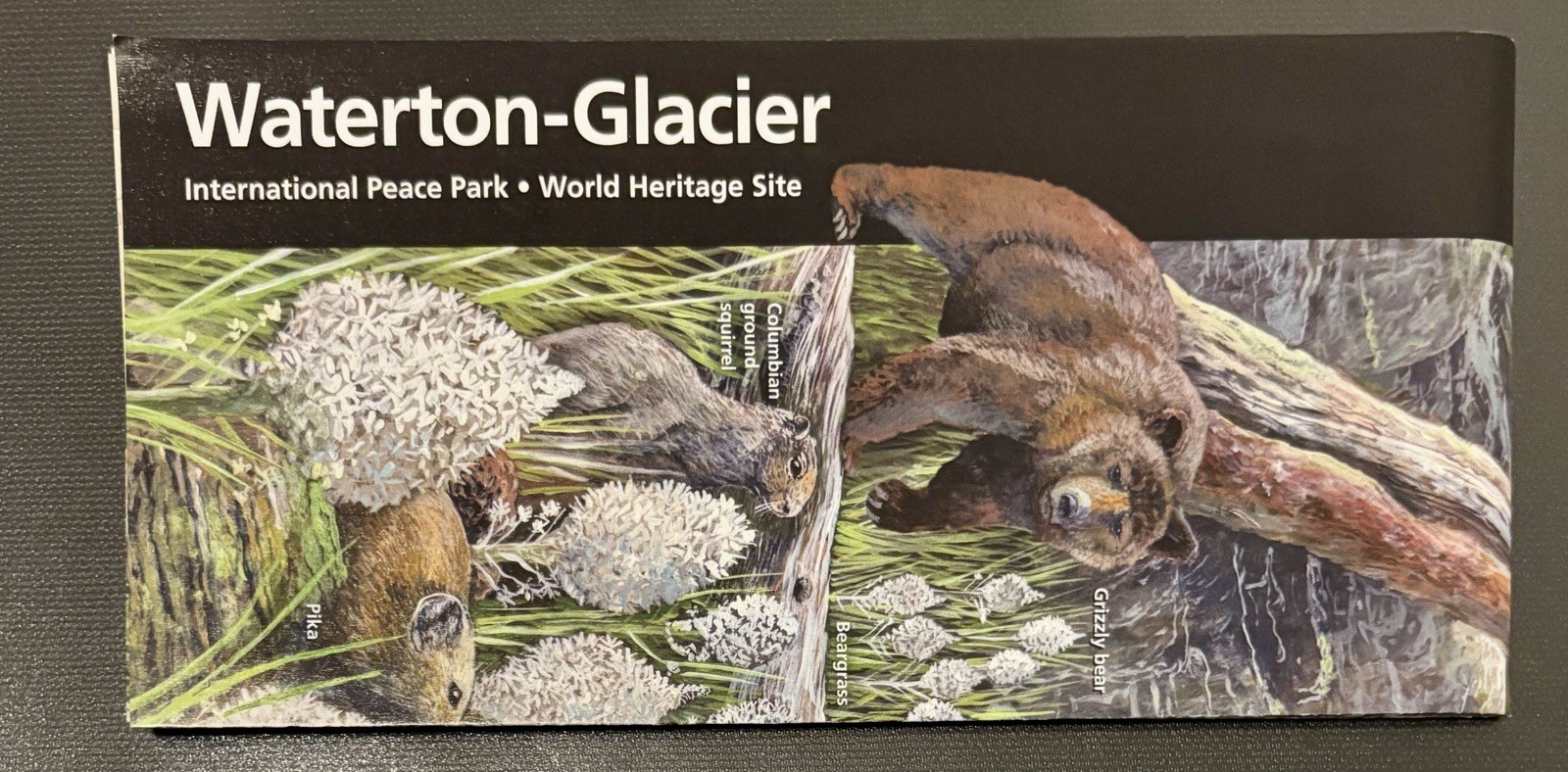 Waterton-Glacier International Peace Park Brochure, National Park Unigrid