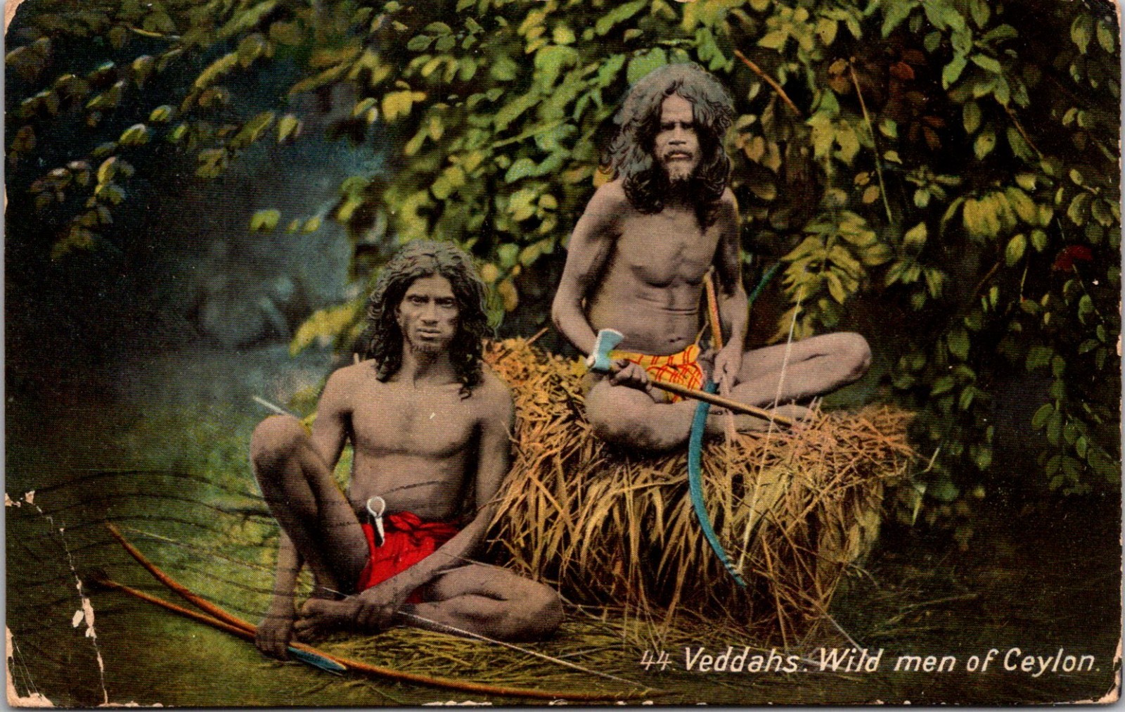 * Antique DB Postcard Veddahs Indigenous Sri Lanka Wild Men Of Ceylon c1900s