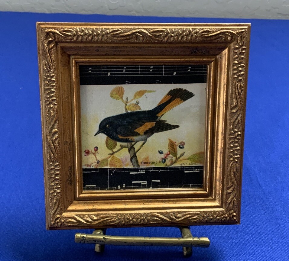 Vintage Antique Victorian Trade Card Ephemera Framed, Bird - Redstart