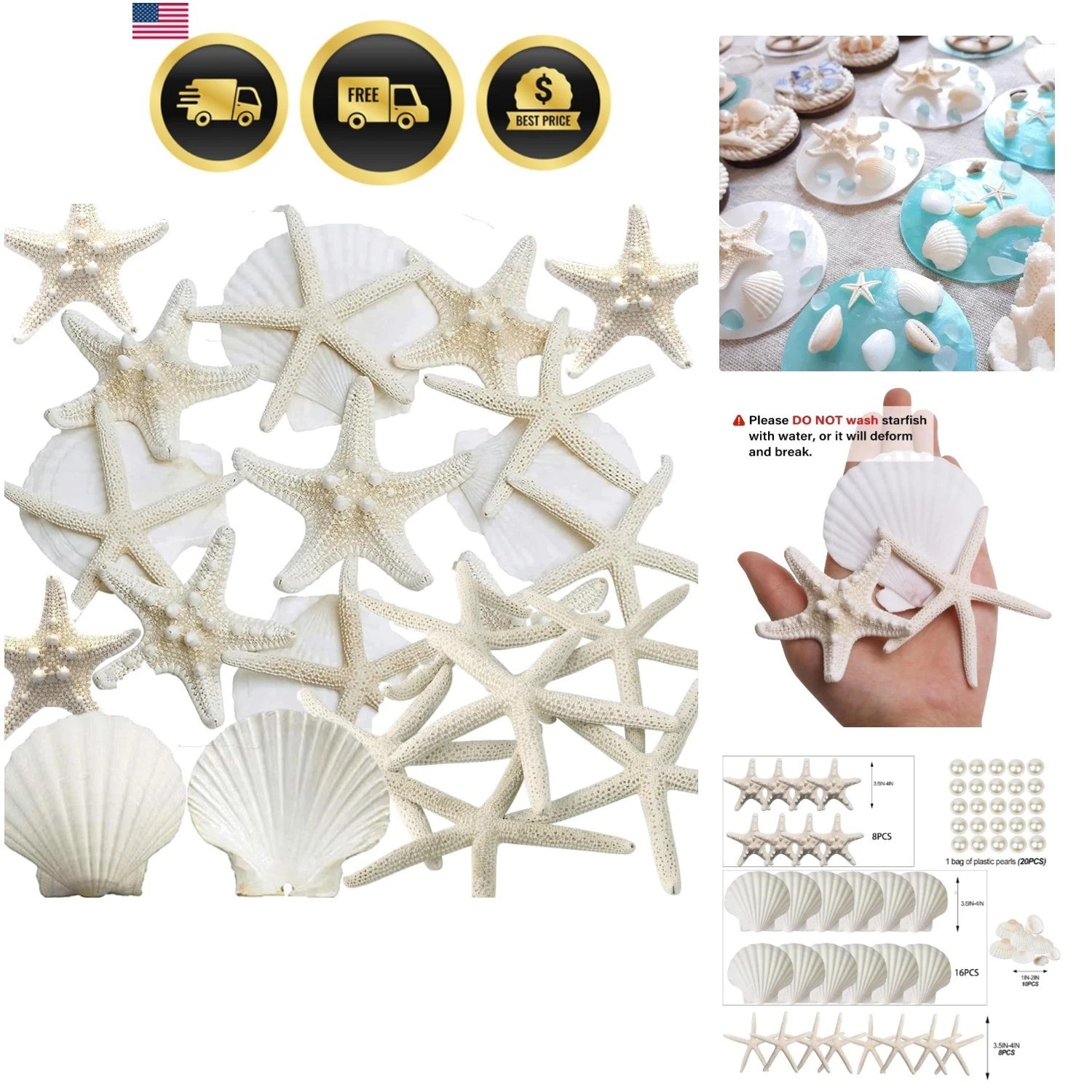 32PCS Starfish and Scallop Shells for Crafts 3\ 32PCS Starfish and Scallop Shells for Crafts 3\