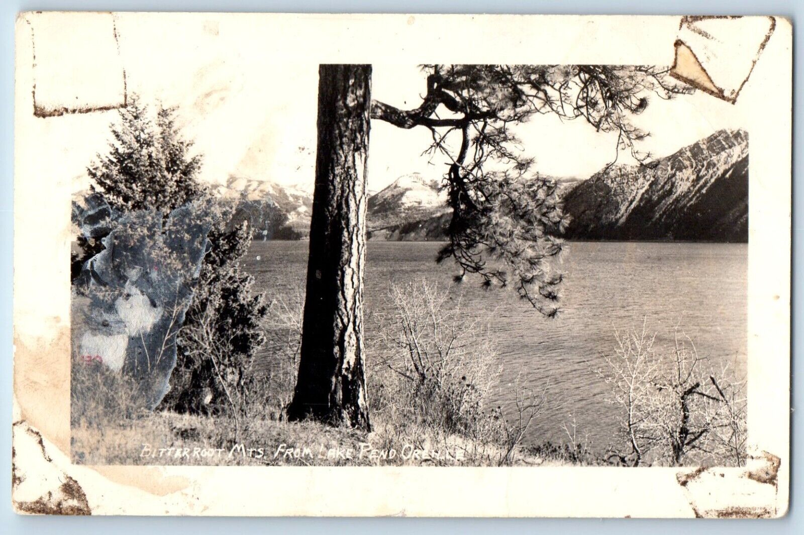 Idaho ID Postcard RPPC Photo Bitter Root From Lake Pend Oreille c1940's Vintage