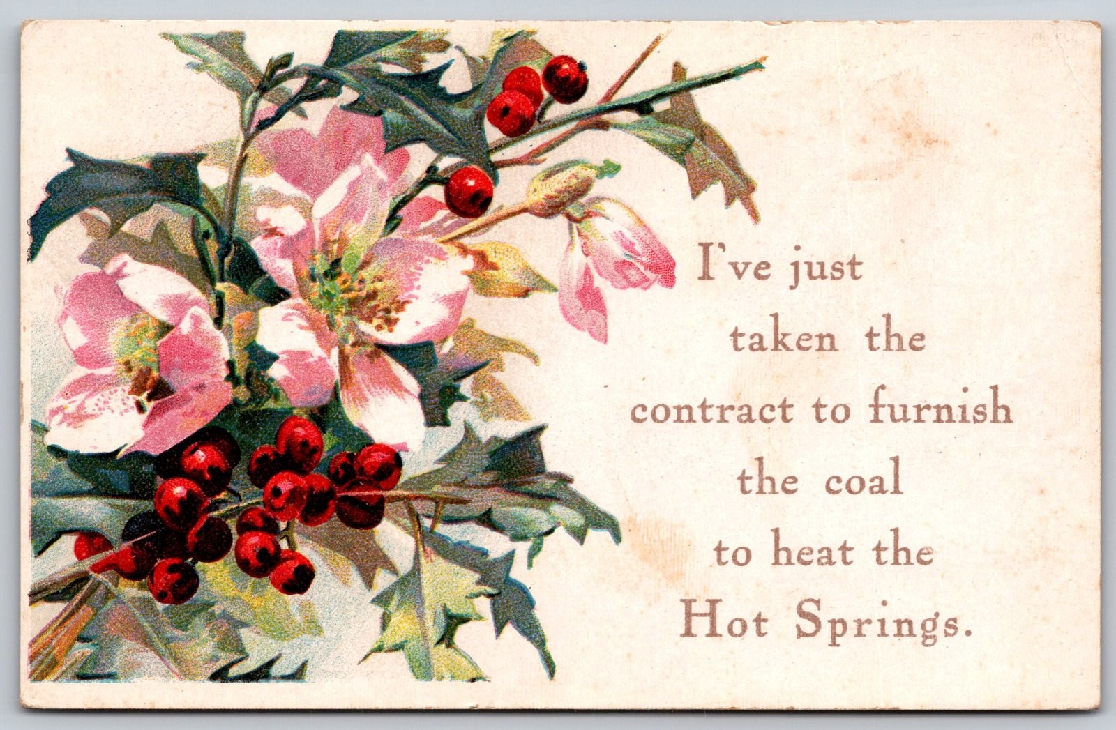 Hot Springs Coal Contract Winter Flowers Berries Postcard PC300