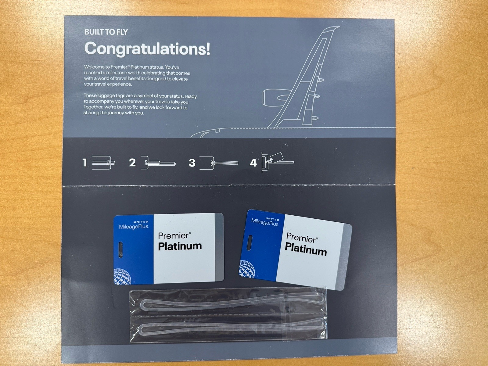 United Airlines Premier Platinum MileagePlus Status Luggage Suitcase Bag Tags