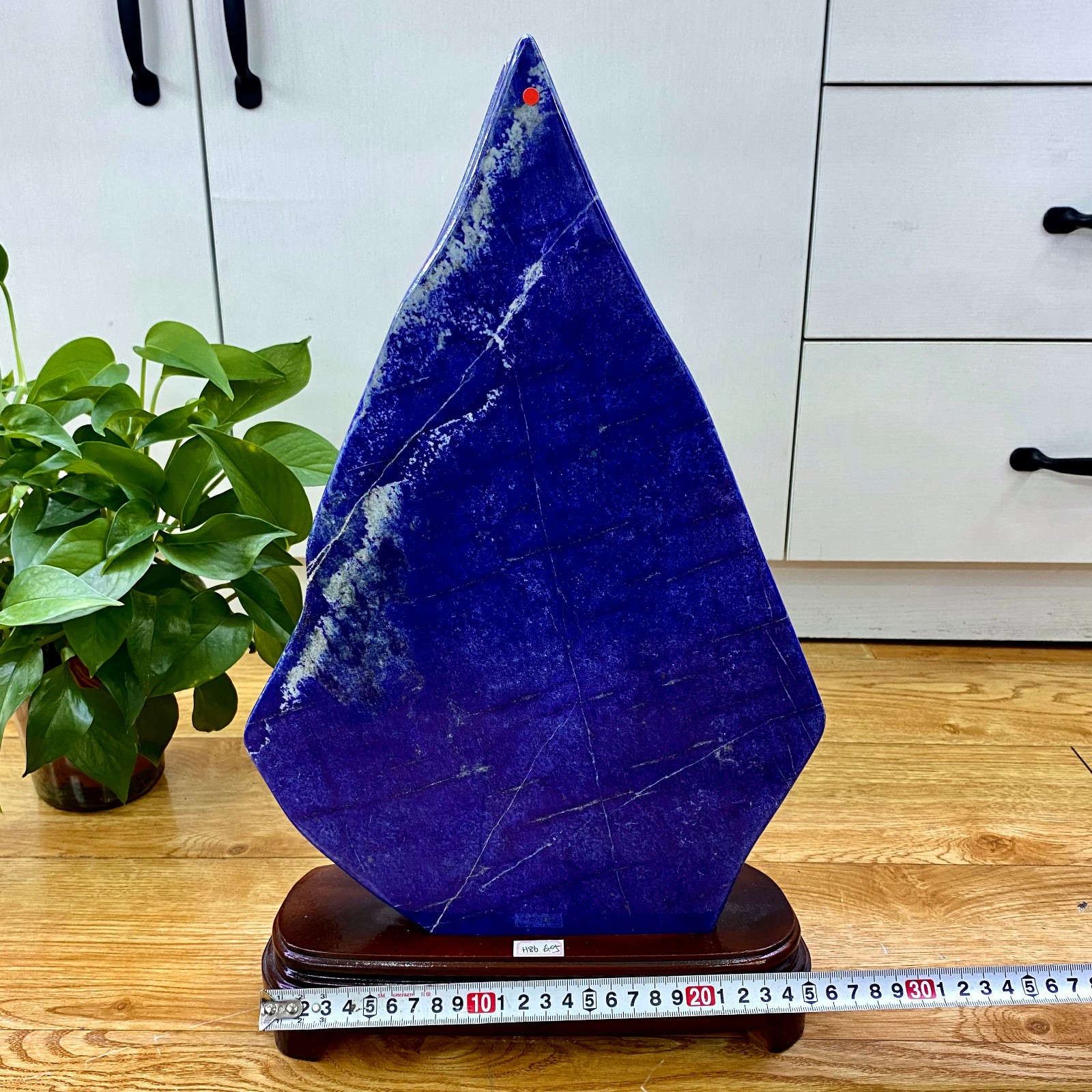 13.33LB Lapis Lazuli Freeform Polished Rough Tumble Healing Crystal Specimen Sto