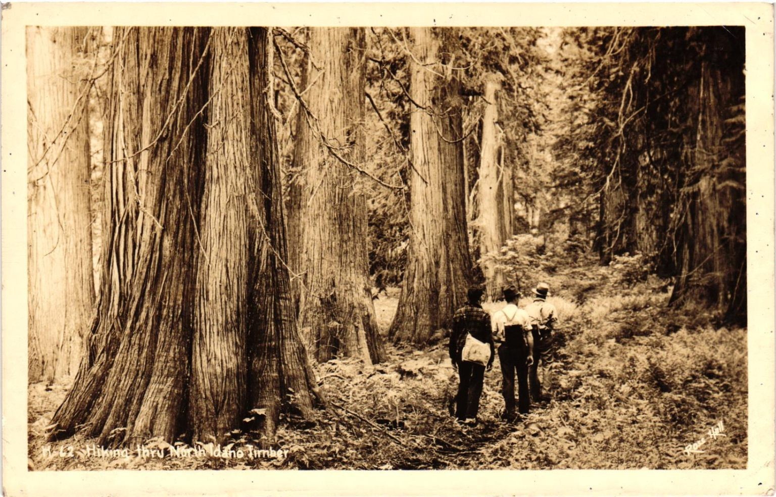 RPPC North Idaho Timber Hiking Ross Hall Real Photo Postcard Forest Vintage RPPC North Idaho Timber Hiking Ross Hall Real Photo Postcard Forest Vintage