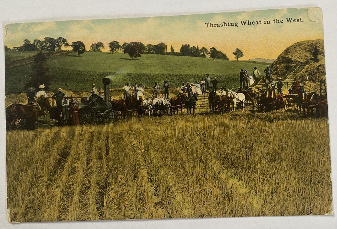 Steam Thresher Threshing Wheat out West, Agriculture ~ Antique 1910s Postcard