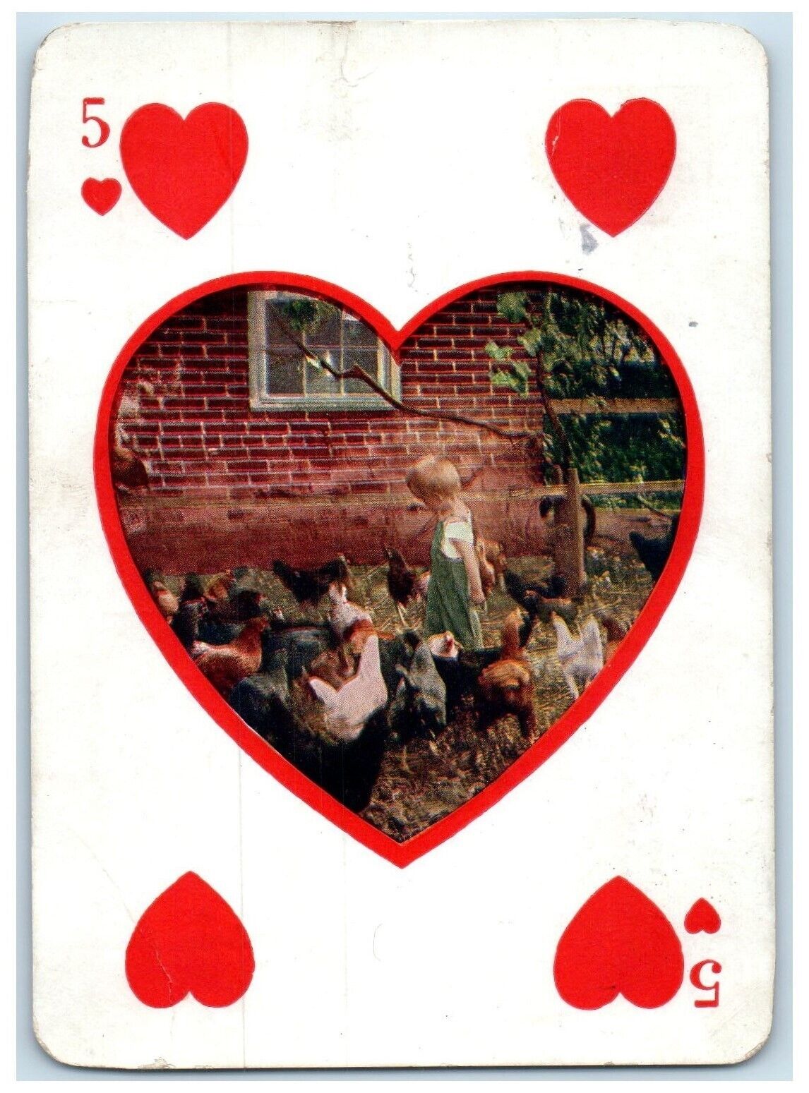 1915 Five Of Hearts Playing Cards Chickens Hillsdale Kansas KS Antique Postcard
