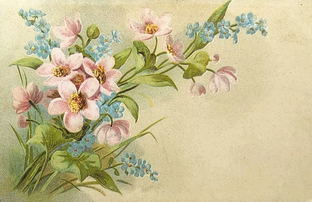 1907 Greetings Floral Picture Postcard ~ Embossed ~ Printed In Germany ~ #-5202