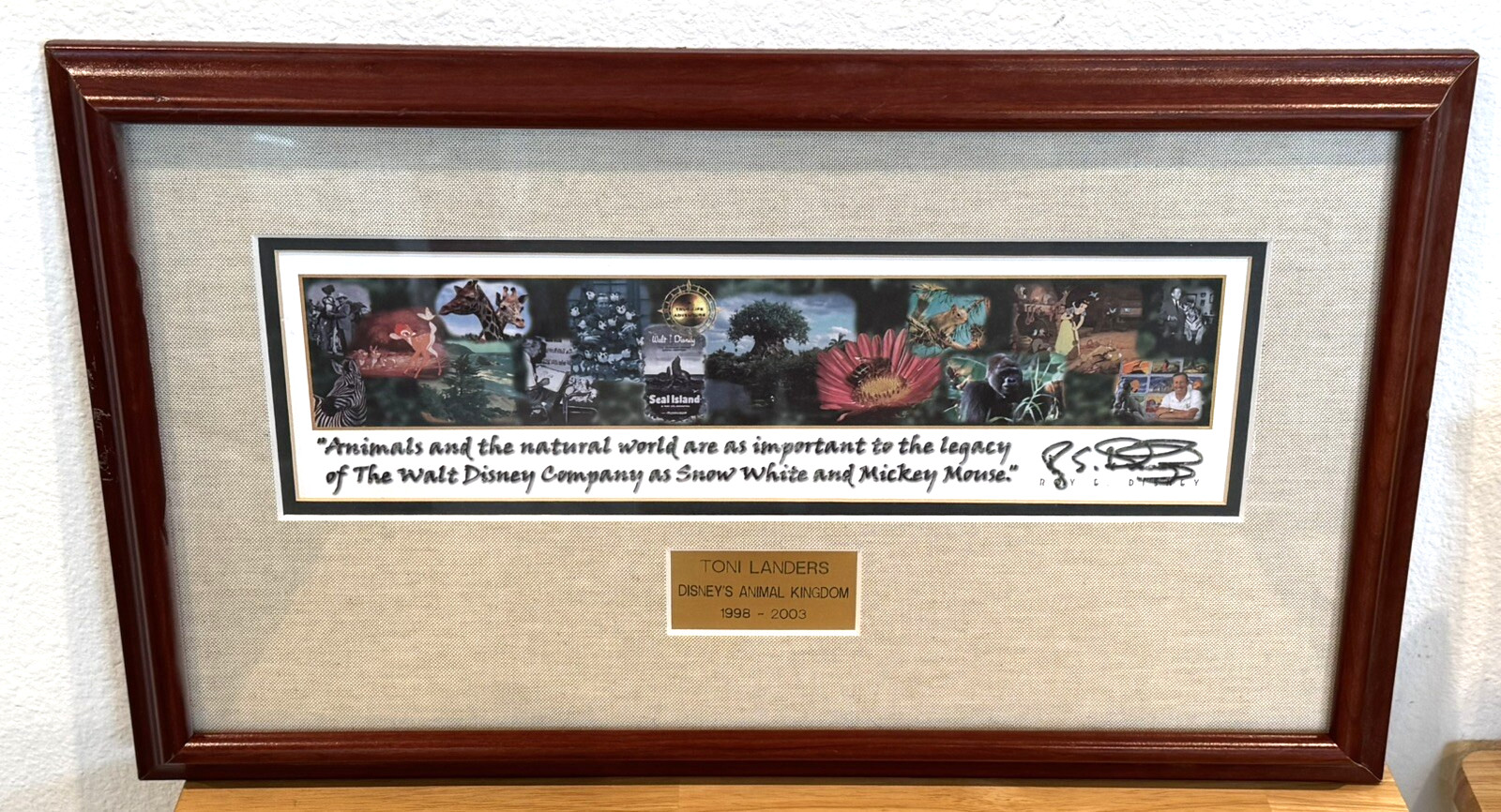 Disney Cast Member Animal Kingdom Framed Award Print Facsimile Auto Roy E Disney