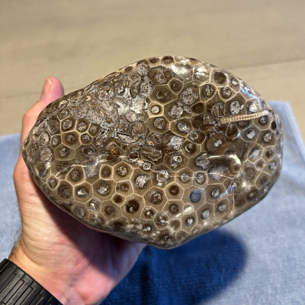 Large 3.8lb hand sanded and polished Petoskey stone.
