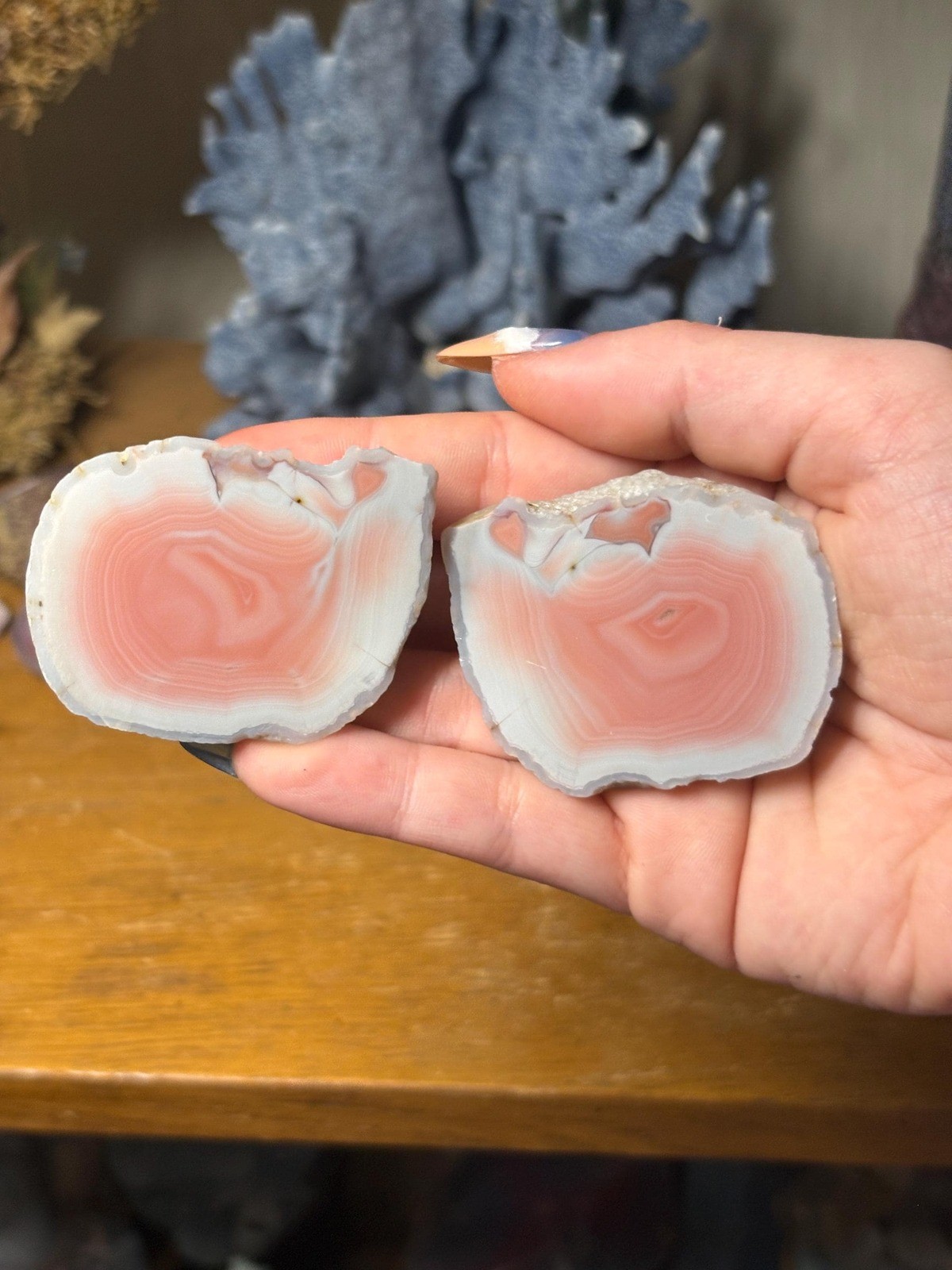 Queensland Creek Agate Pair • Natural Australian Banded Stone • Polished Agate