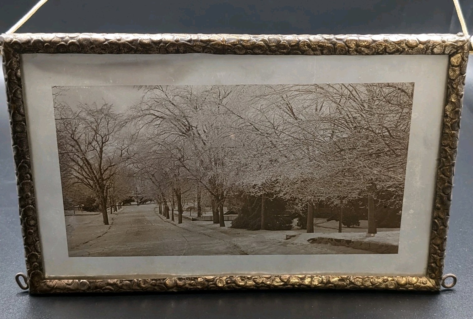 ANTIQUE C. 1890s GLASS PLATE NEGATIVE IN ORNATE FRAME HENRY E. WARREN ATTR -READ