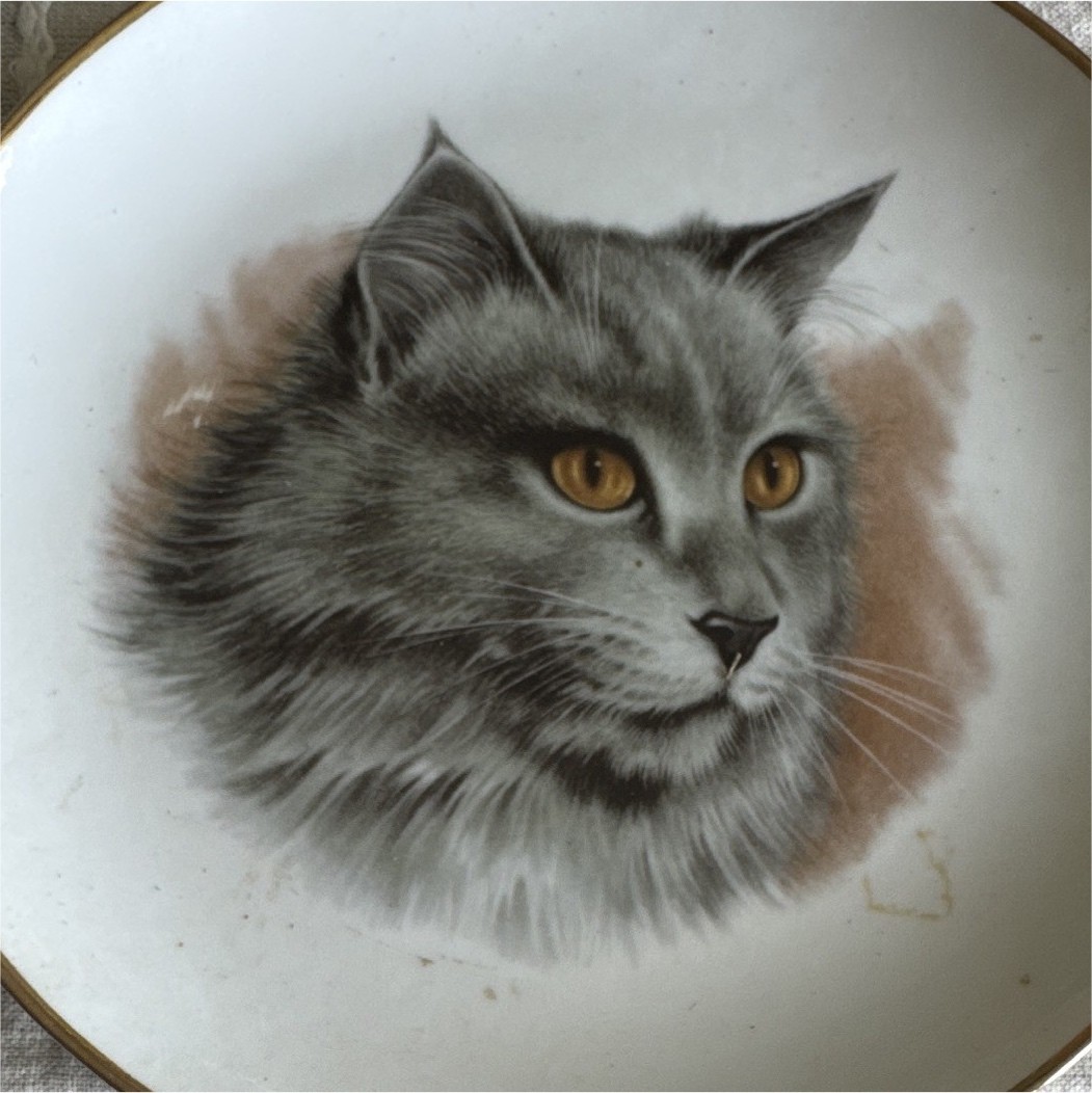 Main Street Studios Cat Collector Plate Gray Cat Portrait Porcelain
