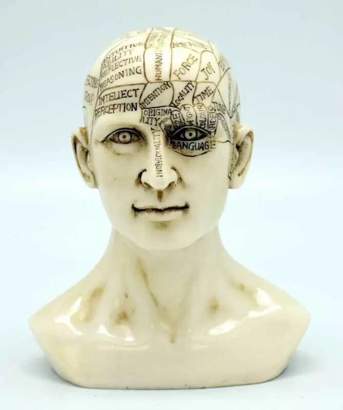 Phrenology Head 6\