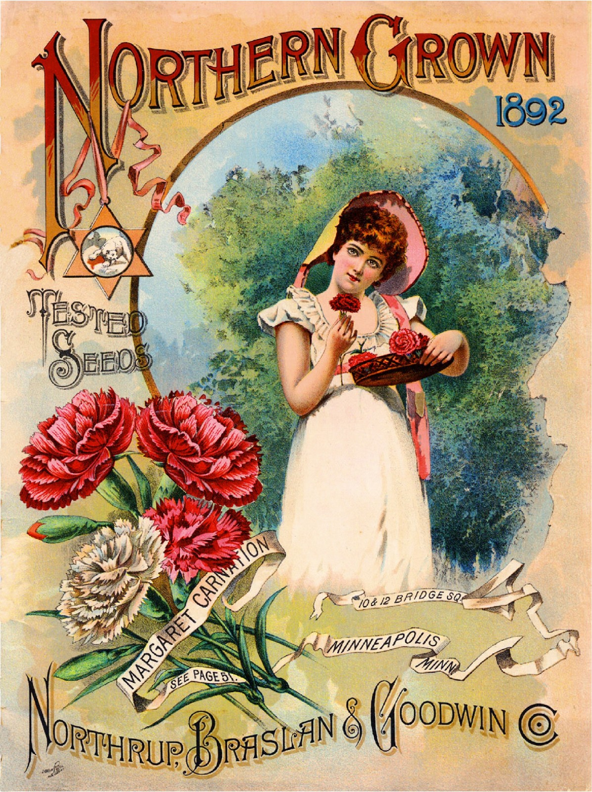 1892 Pink Carnations Vintage Flowers Seed Packet Catalogue Advertisement Poster 