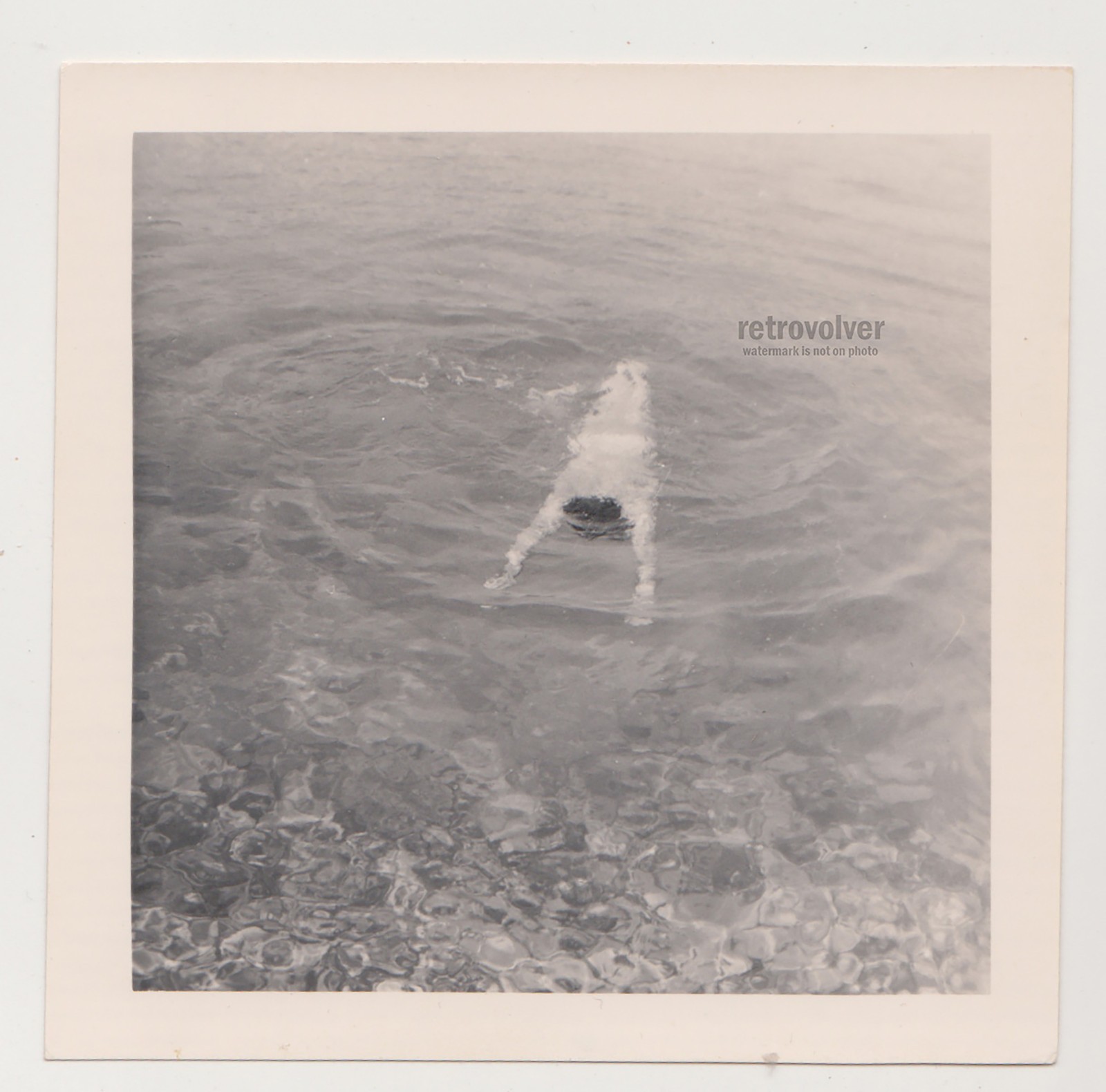 Lonely Young Man Swimmer Floating Face Down While Water Keeps Quiet Secret Gay