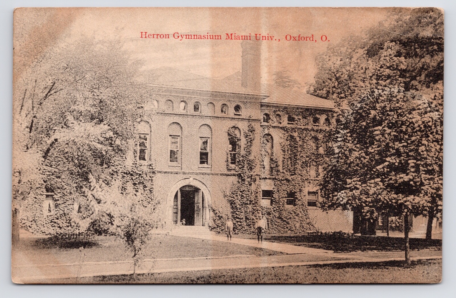 Oxford Ohio OH Miami University Herron Gymnasium Campus Postcard c1908