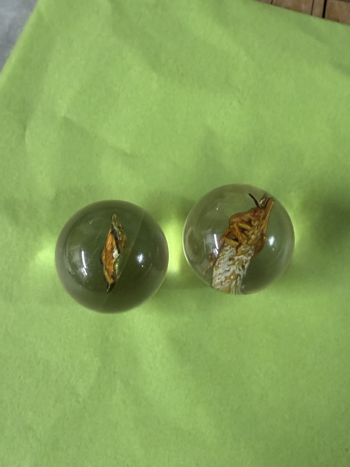 Vintage Pair Clear Lucite Or Glass Orbs Encased Bugs, Curiosity