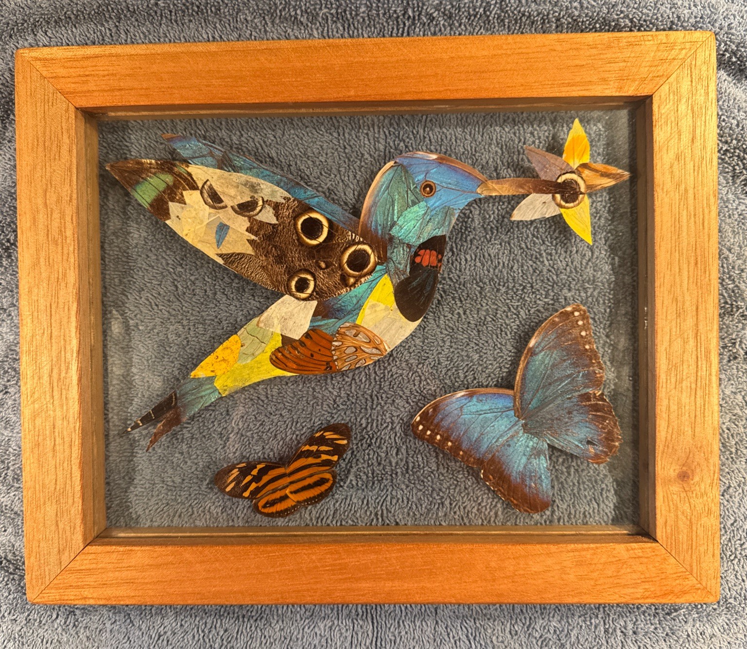 Vintage Butterfly Wing Humming Bird Art Framed 11 x 9 In Handmade Folk Art