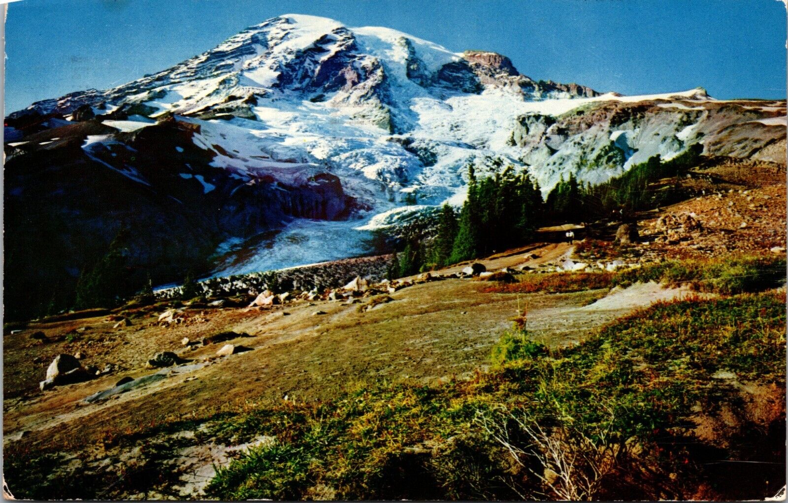 Mt Rainier Nisqually Glacier Mt Rainier National Park Washington WA Postcard L66