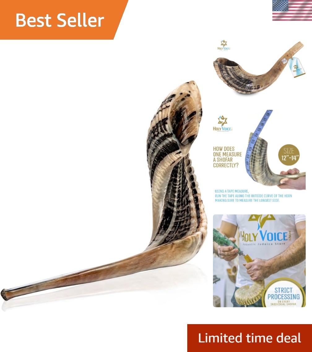 Holy Voice Kosher Ram Shofar Horn from Israel 12\