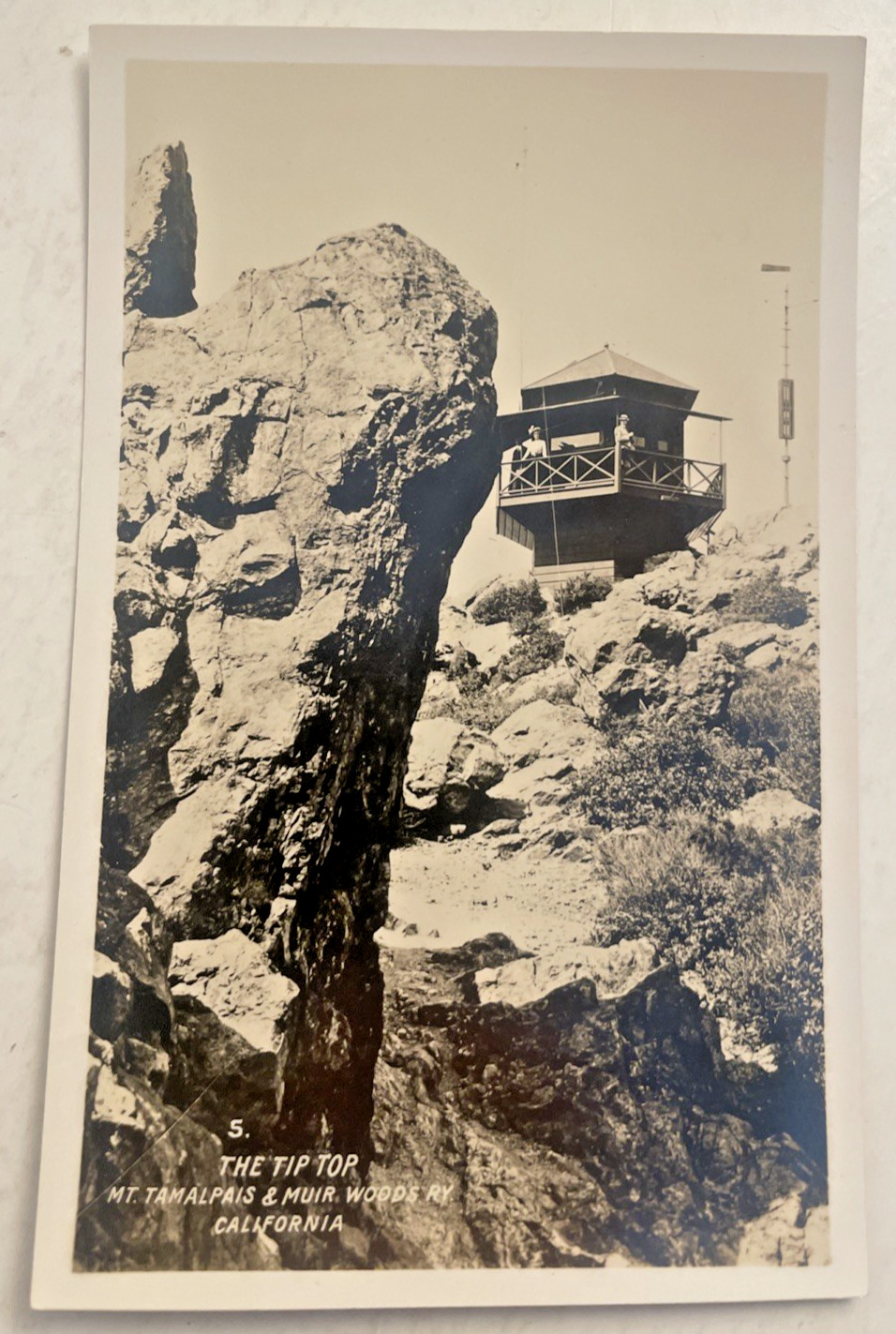 Mt Tamalpais California The Tip Top Muir Woods RPPC