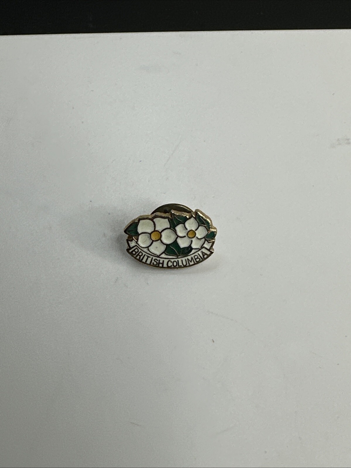 Vintage British Columbia Flower Pin Enamel Travel Souvenir Hat Lapel