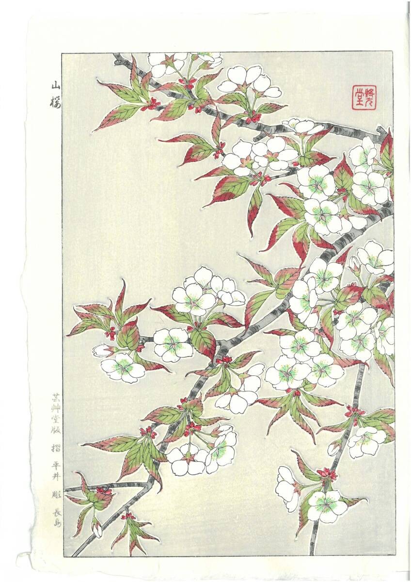 Kawarazaki Shodo [Yamazakura] / Japanese Ukiyo-e Woodblock Print/from Japan